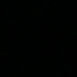 Meet your Posher, Kelasha